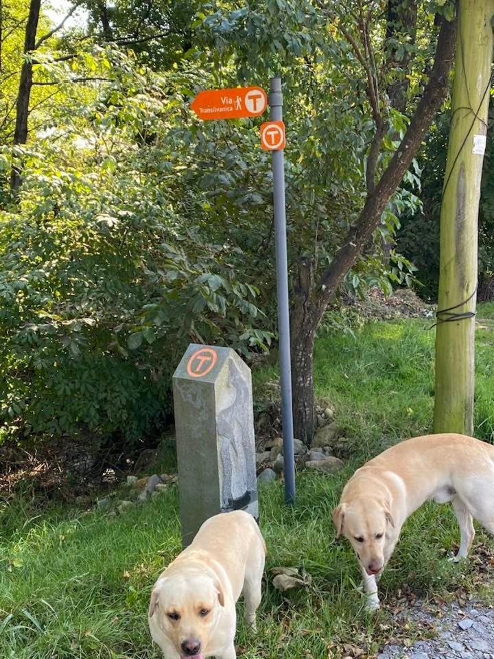 Hanul Conitei Sovata Eksteriør bilde